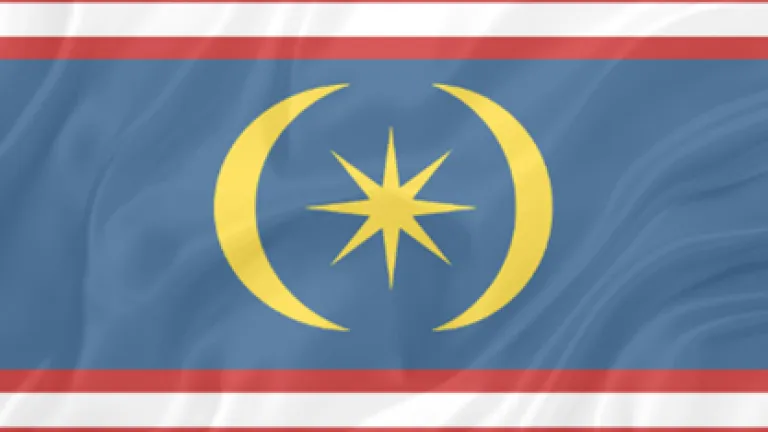Patani Baru Flag
