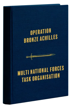Task Organisation Multi National Forces